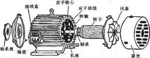 振動(dòng)電機(jī)損壞的常見原因有哪些？